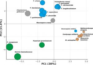 Druzhinina et al. 2018 Massive lateral transfer of genes encoding plant ...